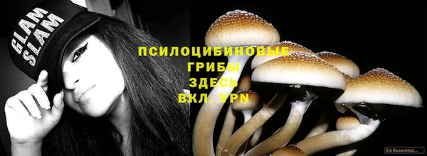 mdpv Белоозёрский