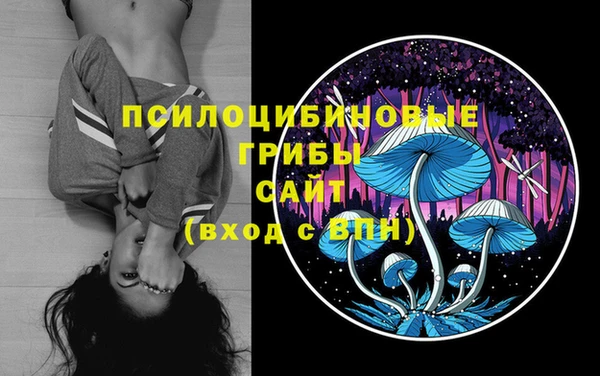 мескалин Белокуриха